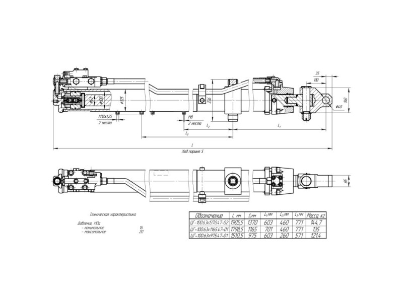 ЦГ-100.63х1370.47-02