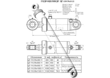 ЦГ-110.56х900.11