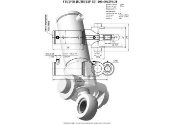 ЦГ-100.60х250.31
