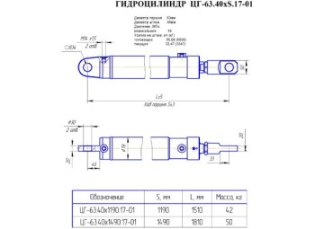 ЦГ-63.40х1490.17-01