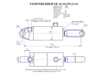 ЦГ-60.30х250.22-01
