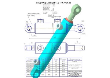 ЦГ-50.30х250.22-01