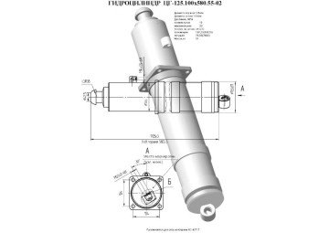 ЦГ-125.100х580.55-02