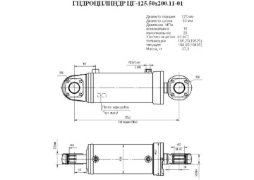 ЦГ-125.50х200.11-01