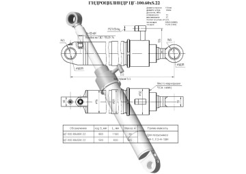 ЦГ-100.60х500.22