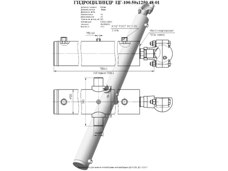 ЦГ-100.50х1250.48-01