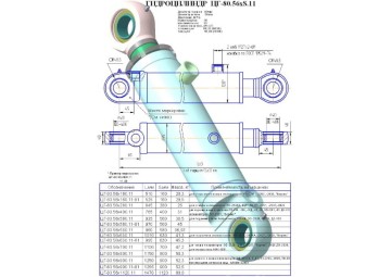 ЦГ-80.56х160.11-01