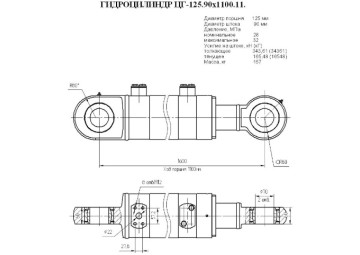 ЦГ-125.90х1100.11