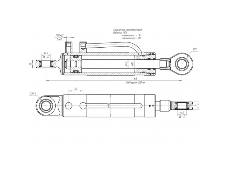 ЦГ-80.40х250.11-01