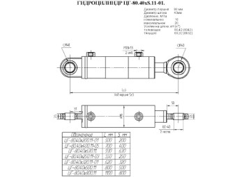 ЦГ-80.40х200.11-01
